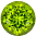 Peridot Birthday Stone